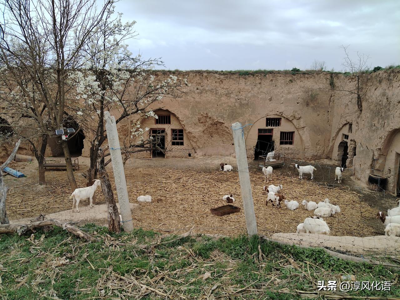 大面积焚烧秸秆会不会污染环境?怎么可能，你想多了。飞机汽车才是污染环境的罪魁祸首