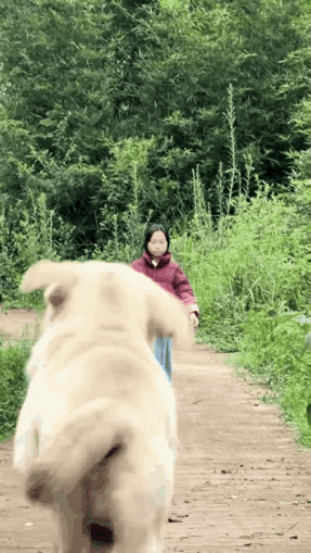 帮倒忙的狗子也很讨厌