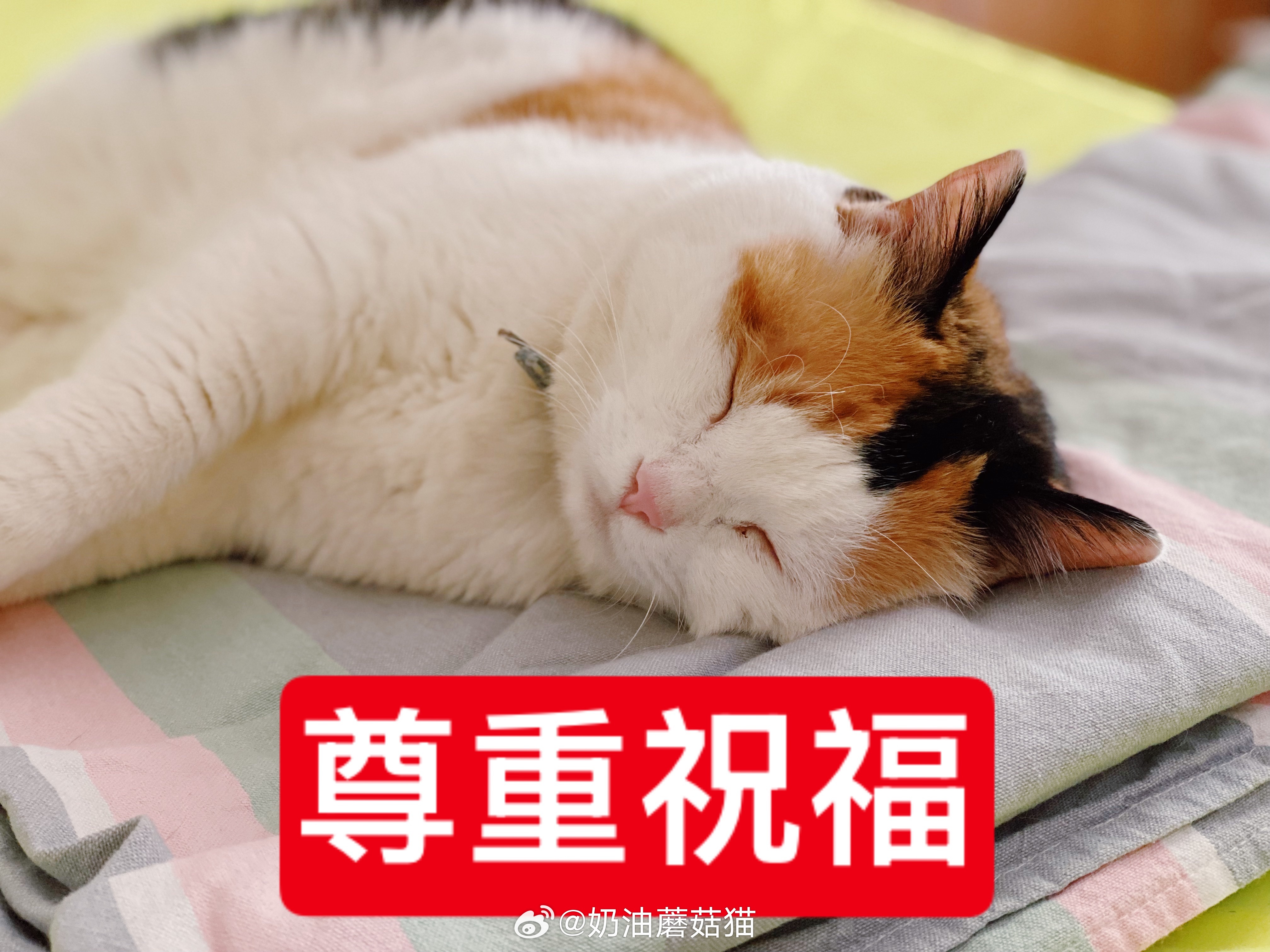 21:30…人虎出门去钓鱼了。我问他几点回来，他说12点以前回不来。我问他为什么