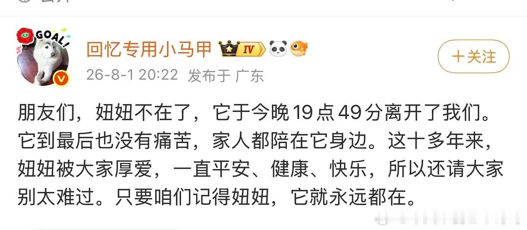 天呐妞妞去世了，这是我在互联网认识的第一只小狗