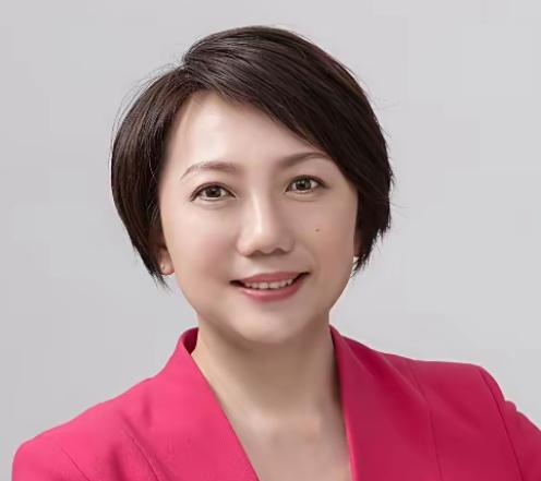 她2026年2月24刚刚出任民进党团书记长，她曾公开宣称“讨厌被当龙的传人”，要