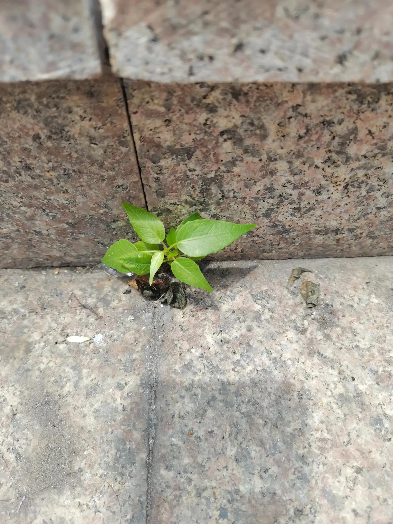#你觉得现在社会最缺少的东西是什么#整个社会戾气越来越重，人与人之间缺乏包容、理