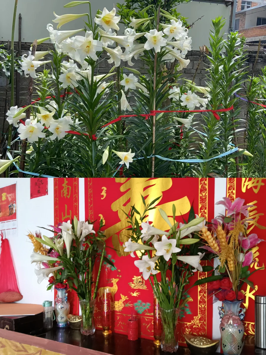 爸妈也爱种花，但他们插的花…忍不住想拜一拜
