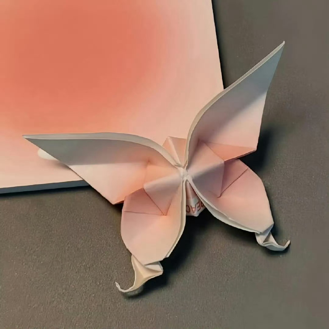 蝴蝶折纸🦋 ​​​