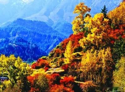 《静思斋诗话》两则

今人陈凤娇《重九攀山看红叶》
重九蹑云根，霜林醉火痕。
风