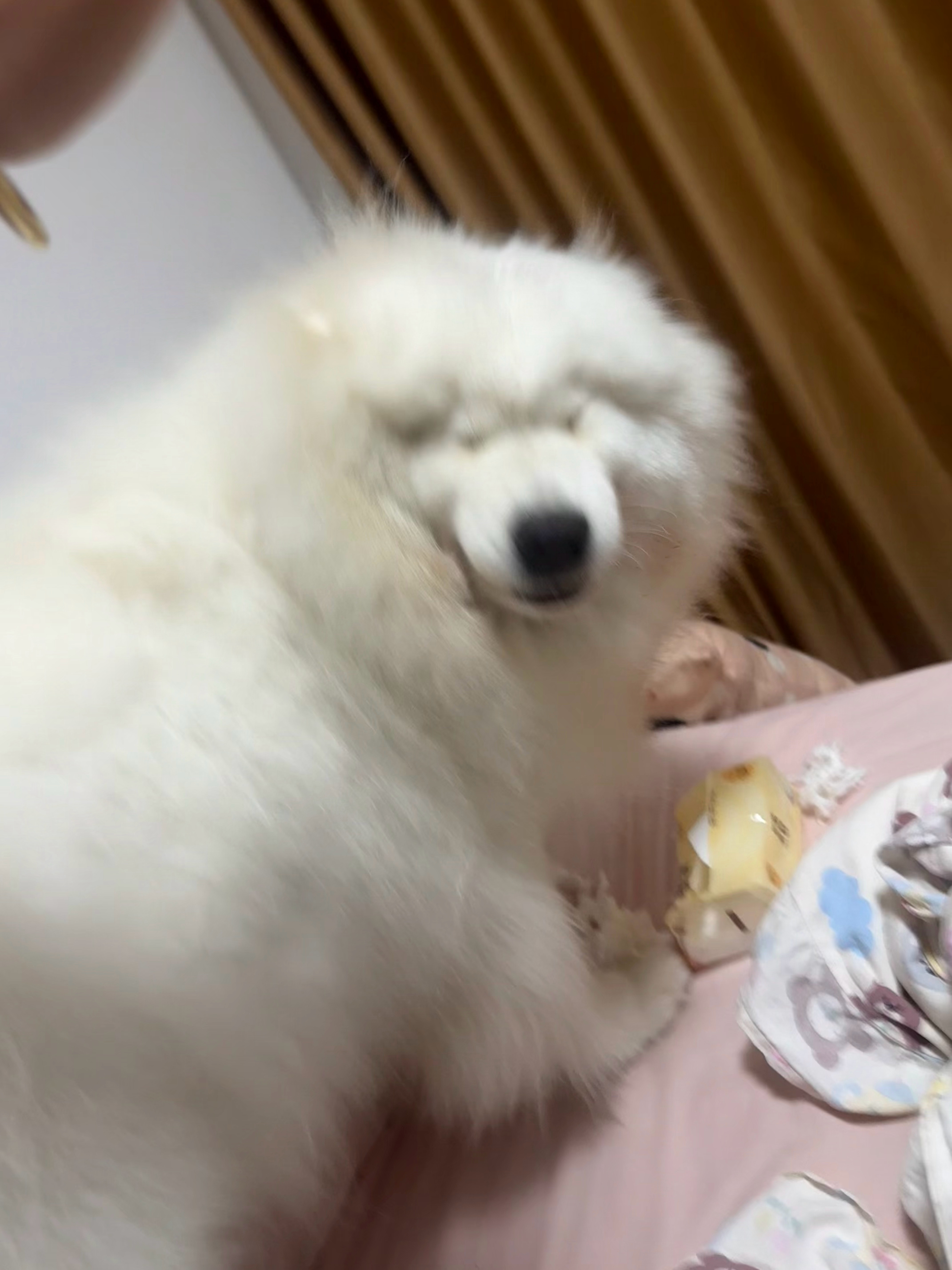 又出神图了，就这个破坏大王！ 