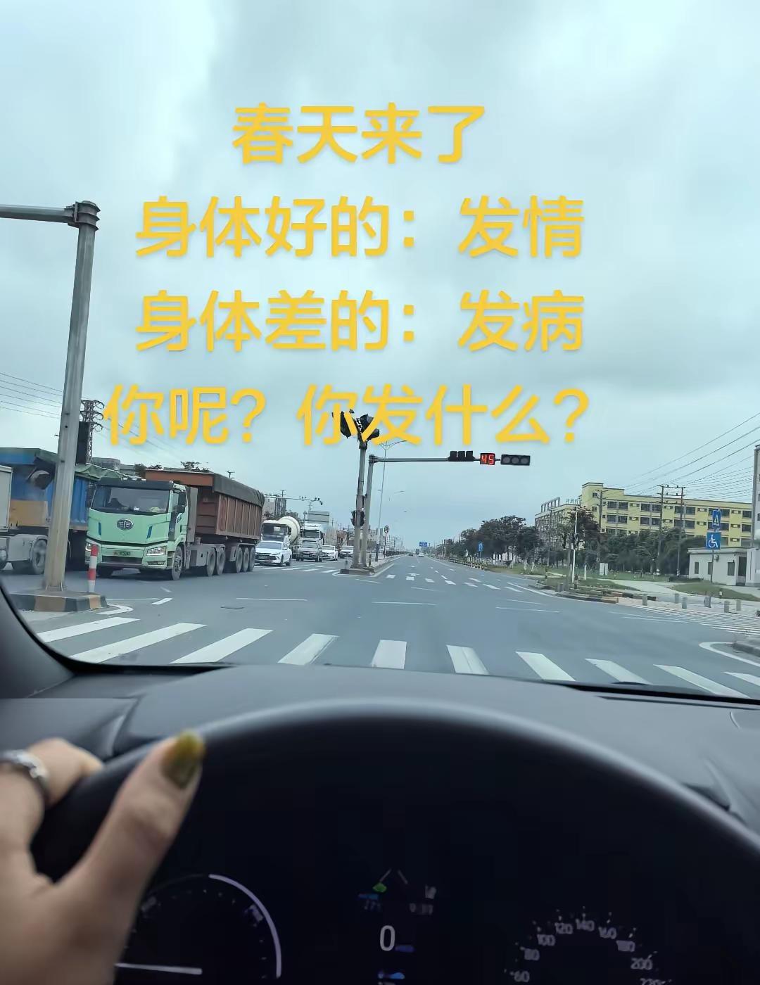 春天 再好的副驾驶不如自己手握方向盘 这座城市 小城