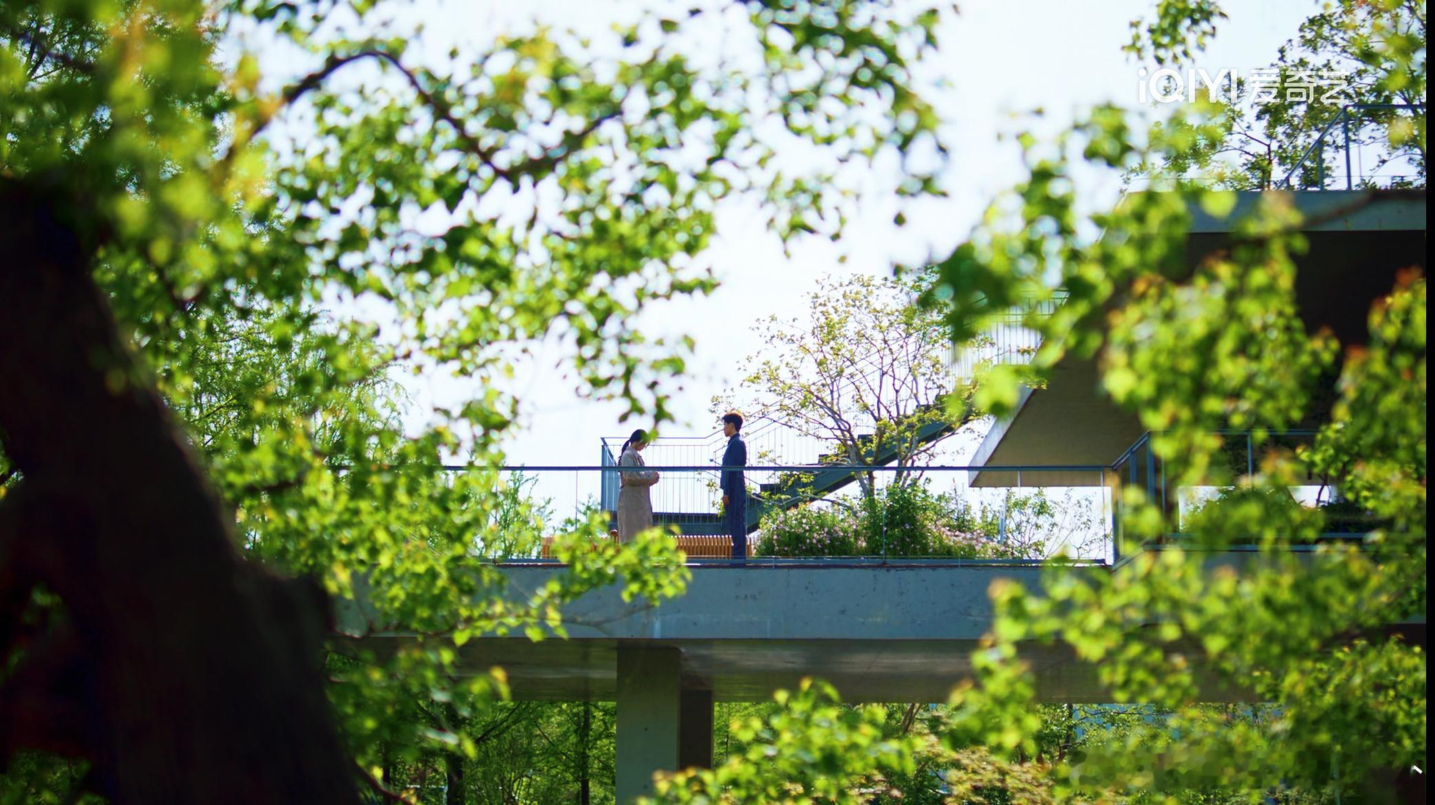 猫的树太会拍了构图上是强迫症福音。视效上是截图党最爱。 