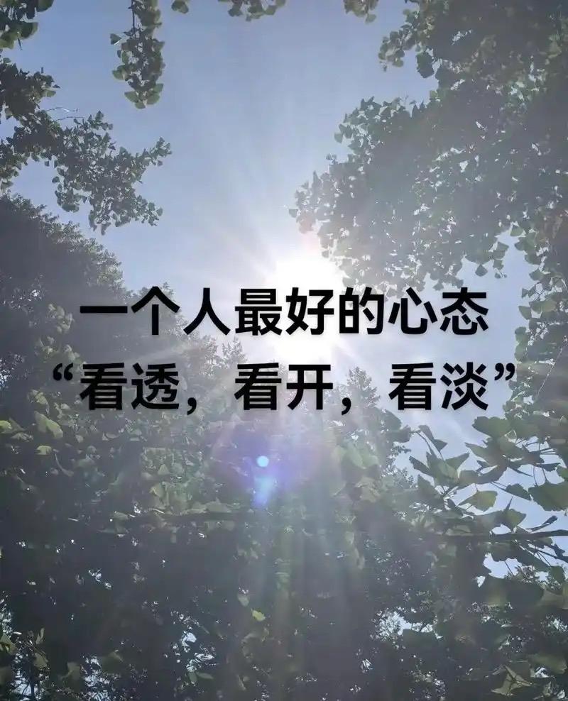 所谓的“看透”，核心在于抓住了人性恒定与规律循环这两根主轴。
减法生存：上古智慧