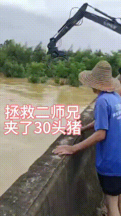暴雨洪水突袭！广西村民巧用挖掘机洪水中救猪，太智慧了
 天灾无情，人间有爱！近期