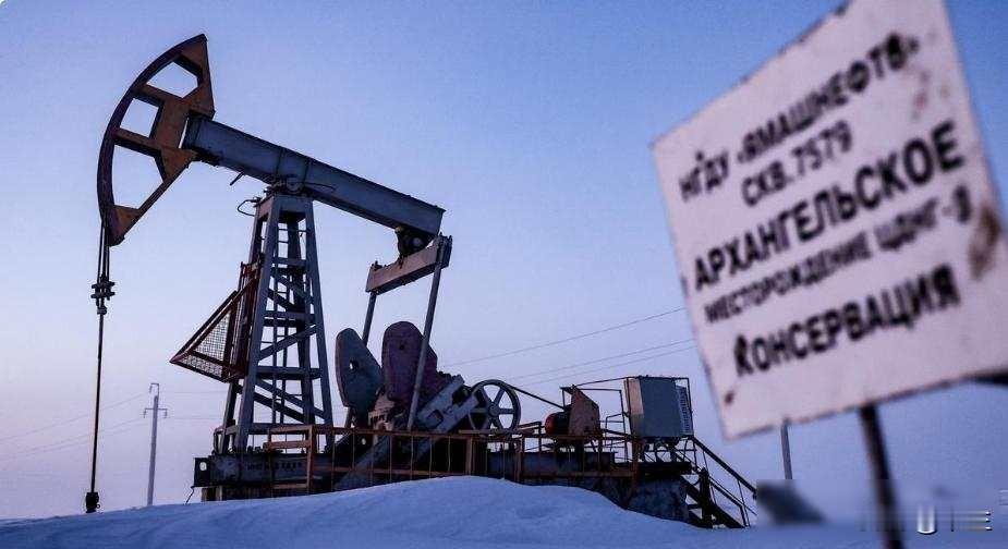 拉夫罗夫刚走，普京就发火了，经济寒流正悄悄冻住俄罗斯的命脉
4月14号到15号，