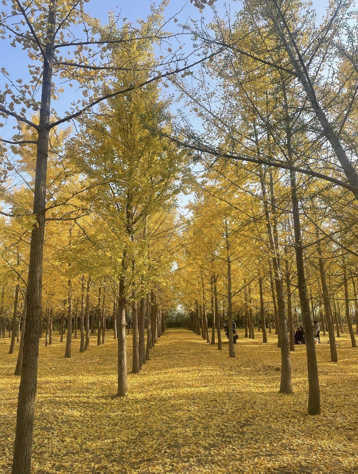 冬日生活打卡季