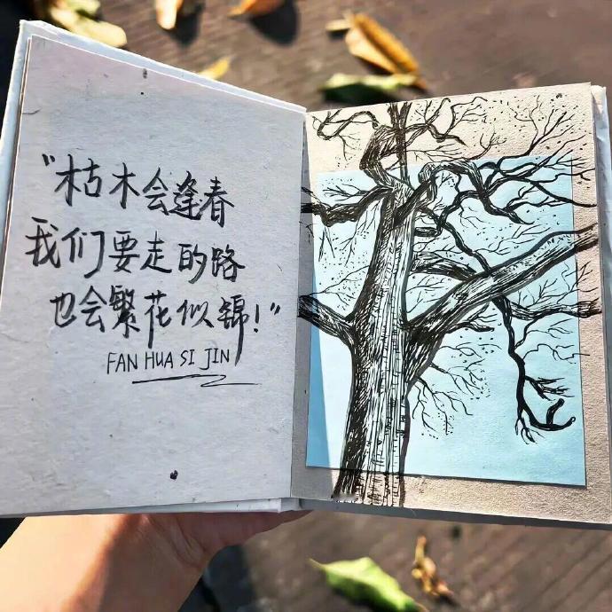 🍃 𝒄𝒂𝒍𝒎 ☕             有些事情我能想通      