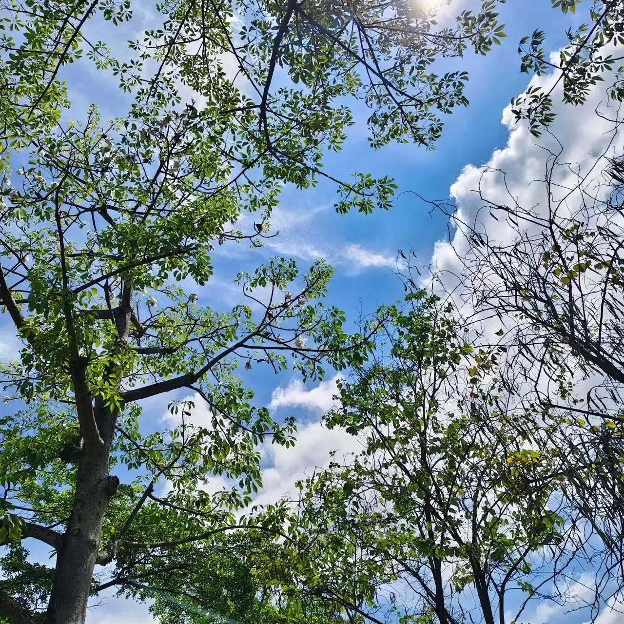 杨绛先生说过：“生活是自己的，千万别为难自己。”

这话搁在中年人身上，再对不过
