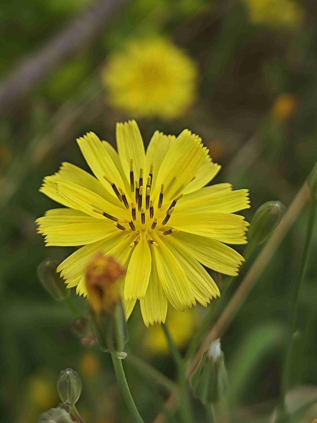 我的今日状态：😁轻松愉快
我这里的天气：☀️晴天
早晨一醒就去看鱼了，又嘎了两