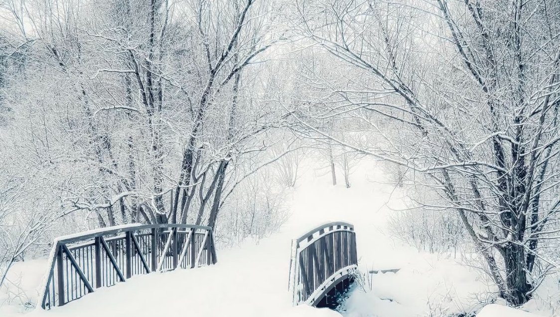 东北文学太接地气了，不装不端着，大白话讲真故事。有苦不矫情，有暖不刻意，把普通人
