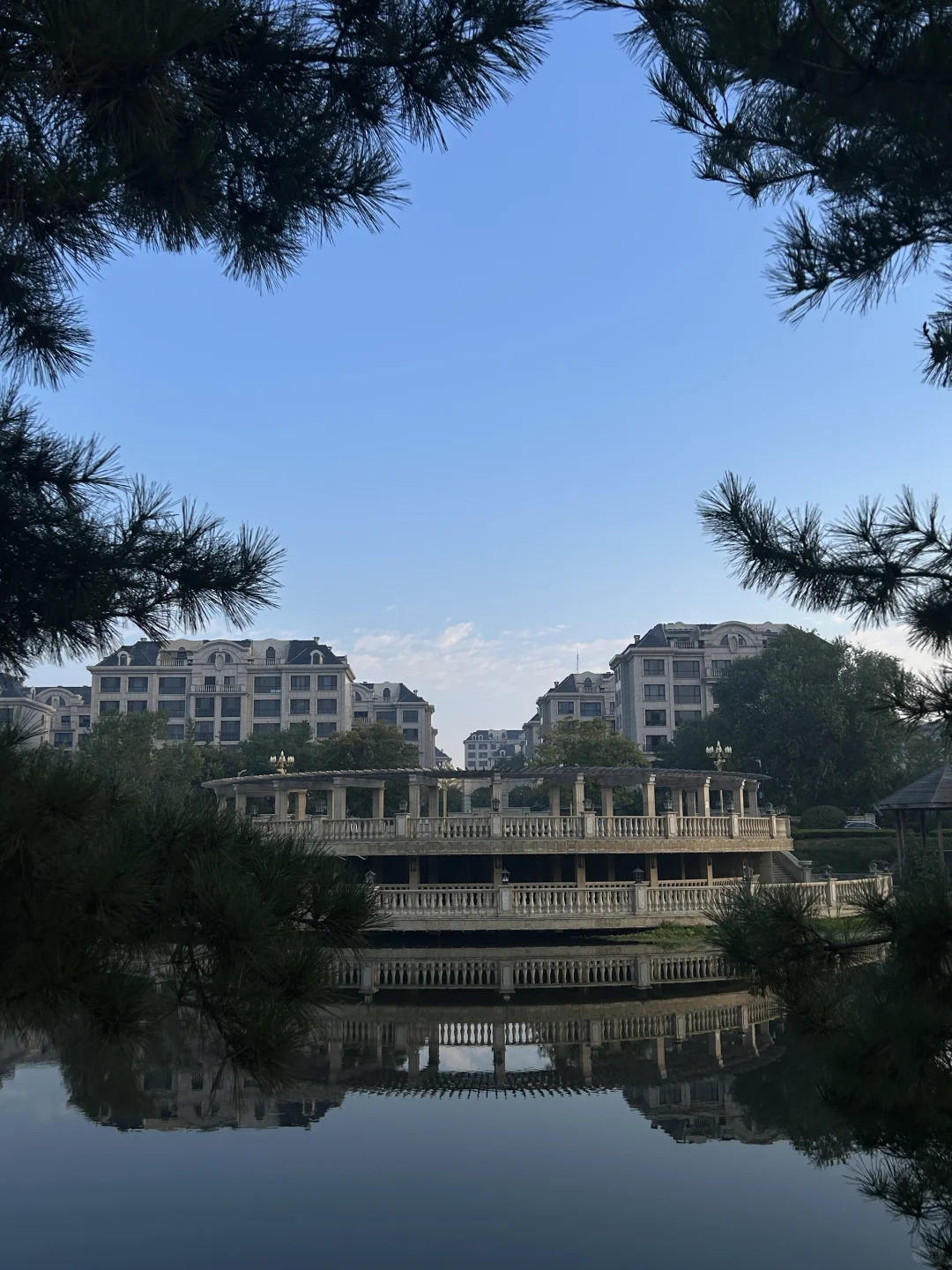 ‼️提升自己永远比迎合他人更重要‼️