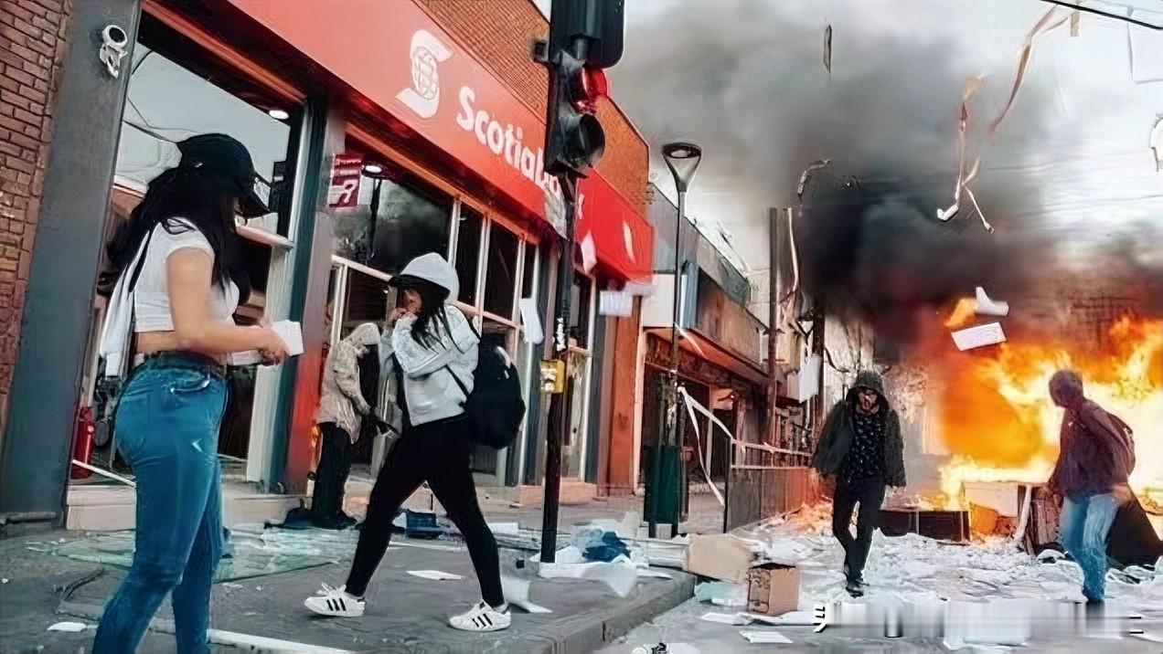 如今的美国，如果你不看新闻，真的是生活平静似水，尤其住在一个好社区，真的是阳光明