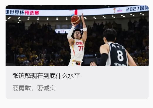 张镇麟的文章：网页链接扒完现在的张镇麟，我发现国家队对他是使用是有点问题的张镇麟