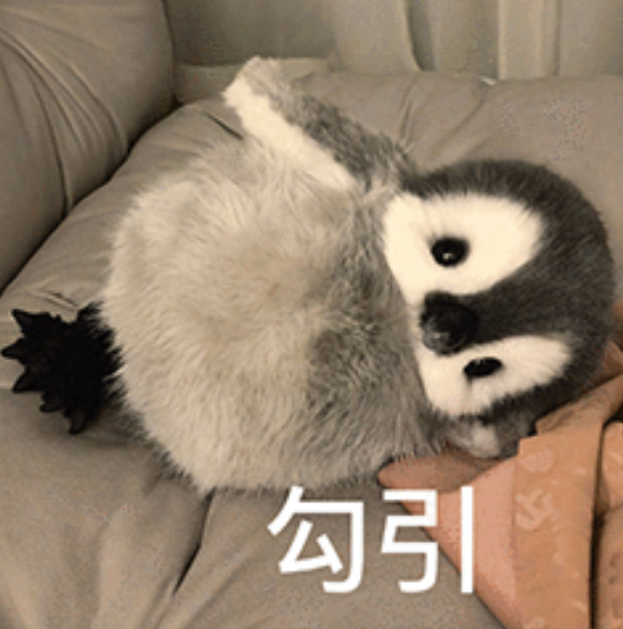 郝普只是呼吸在鹅娘眼里 ​​​