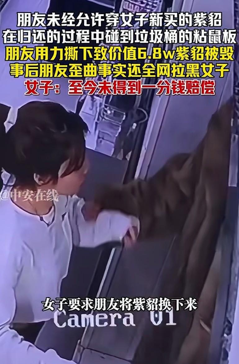 浙江一女子花6.8万买的全新紫貂，自己还没舍得穿一次，就被闺蜜彻底毁了，更气人的