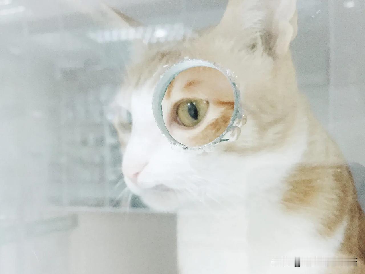 只要998，帮你挽回他？近期出现一些情感咨询机构，称只要998就能帮你挽回感情，