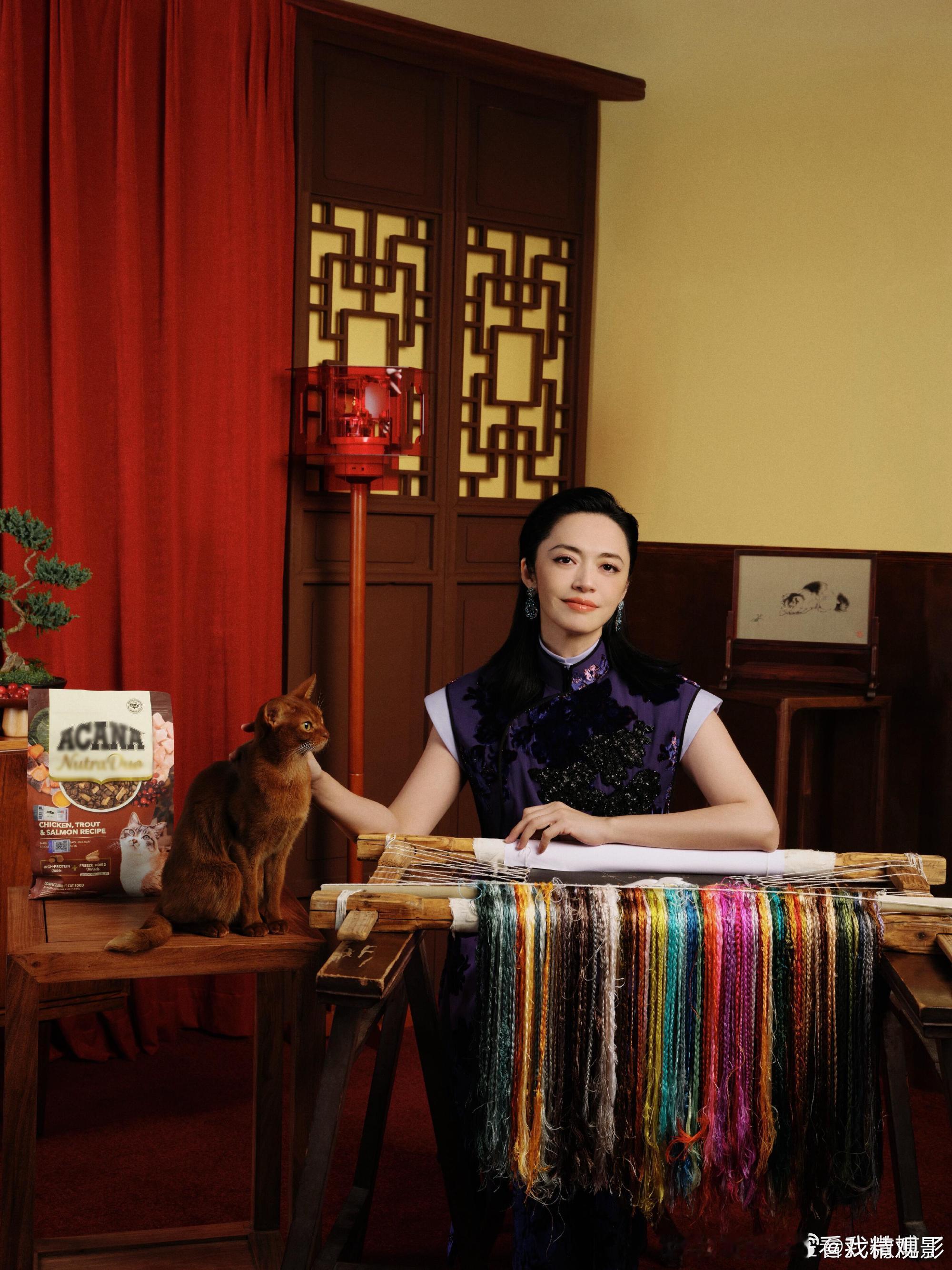 姚晨从杂役到东方美人的蜕变 这种养成系的快乐谁懂啊！从青涩到成熟，从侠女到女王，