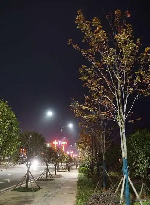 饭后百步走，活到九十九。

前段时间参加了一个每天万步走的活动，慢慢就养成了晚饭