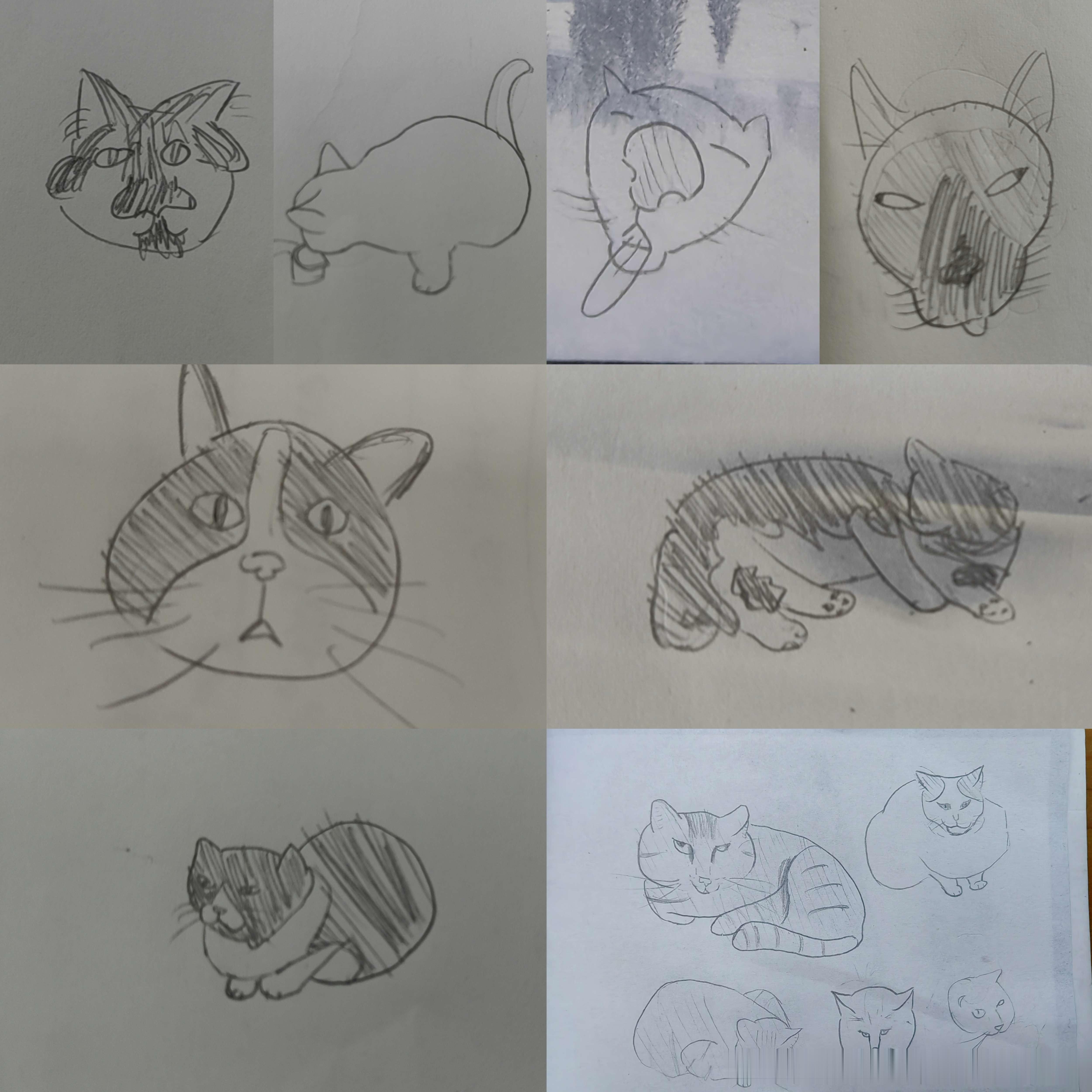 49370【画技丑】是之前在此测存的一些丑猫和学校里的猫，感谢水课让我创作欲望如