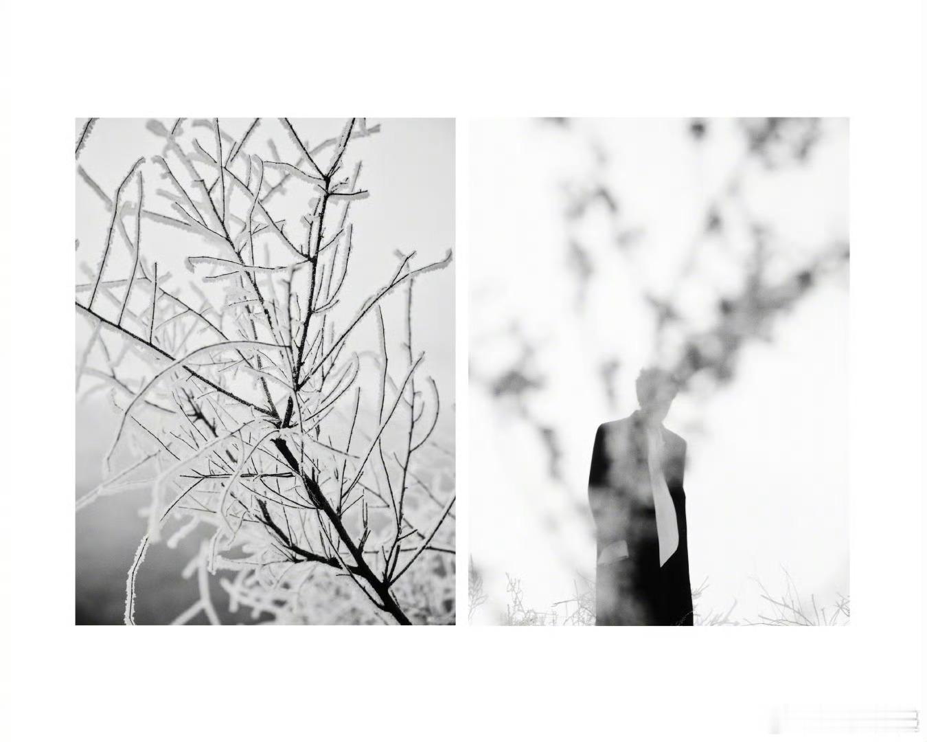 白敬亭在吉林拍出发图白敬亭雾凇出发图嗯嗯 