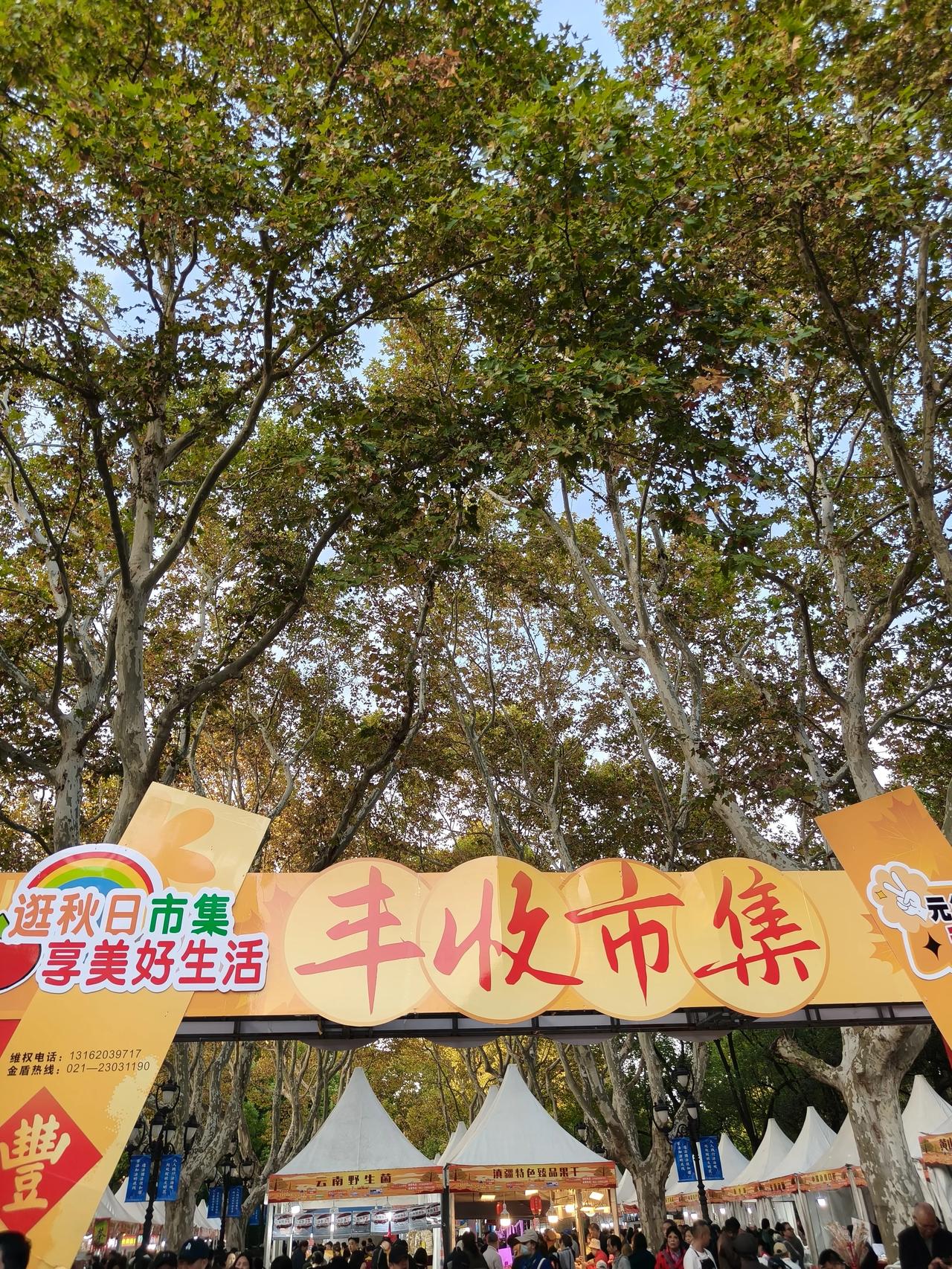 鲁迅公园荷塘➕丰收市集

[啤酒][啤酒][玫瑰][玫瑰]