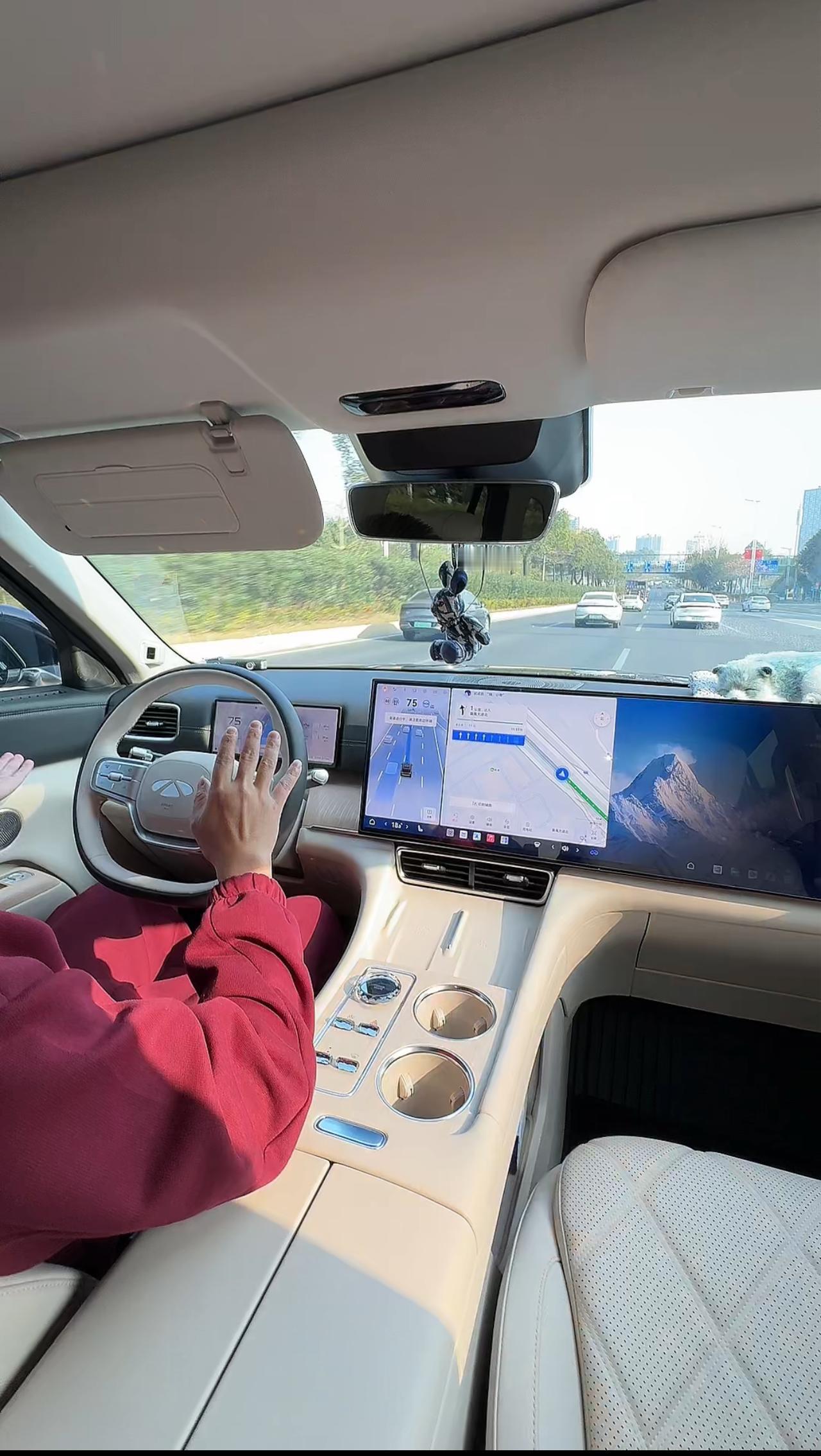 那狗狗是16年买的也是个炭包，经常有人问是不是真的，一直用到现在【来自懂车帝车友