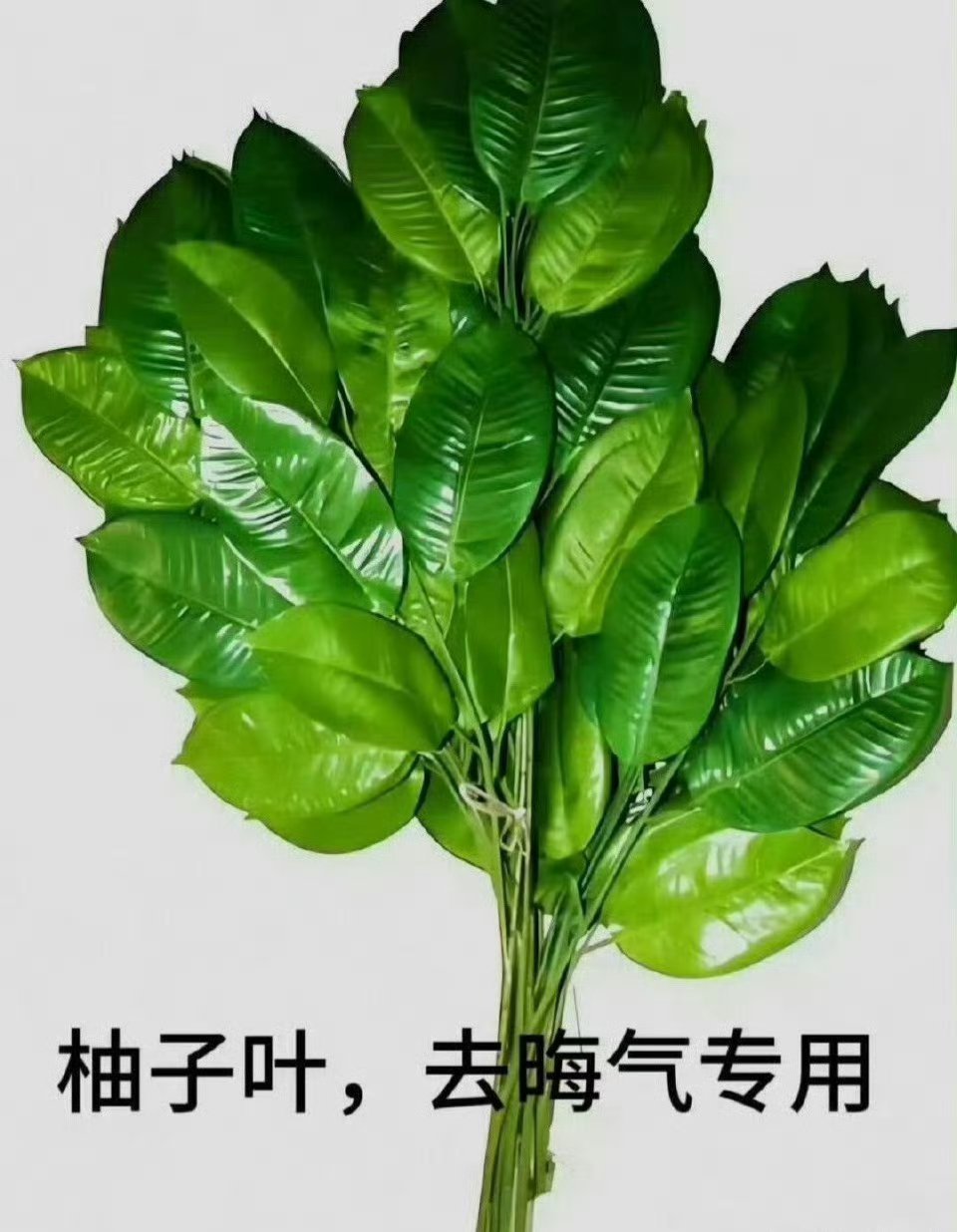 怎么没完没了。离远点吧。你以为占便宜，其实是灾祸，人生，万般皆因果。所尝之果皆是