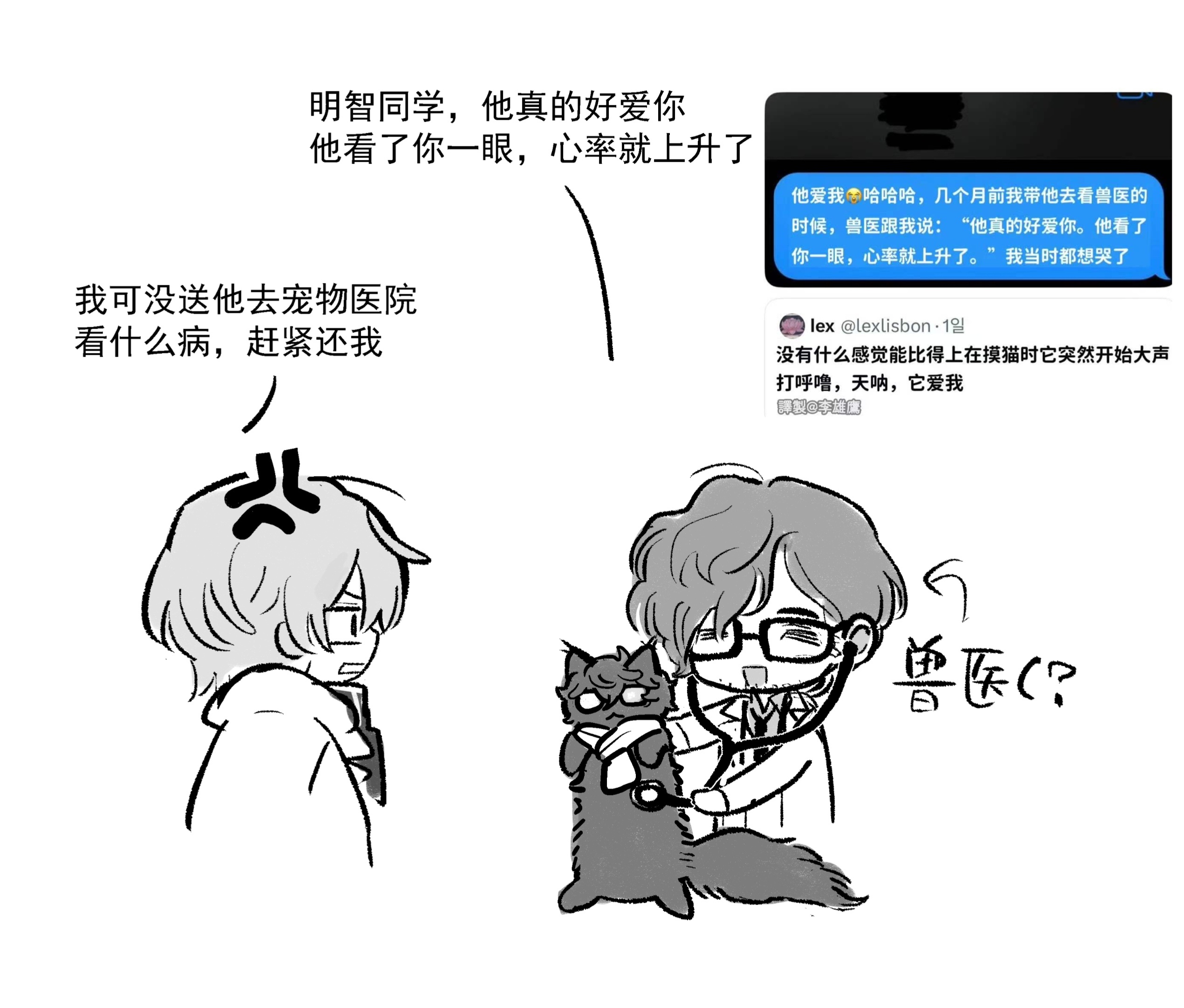 有很多猫（额 
