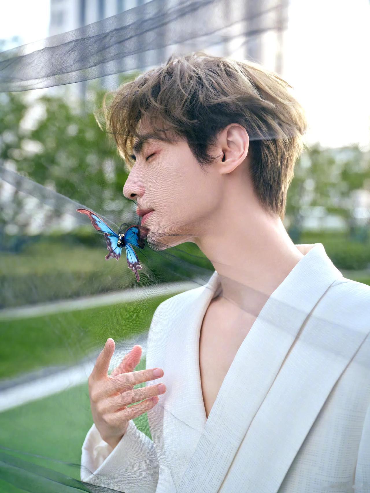 #寻找热爱表达的你#罗云熙真的好漂亮的一张脸最新动态，蝴蝶与帅哥，好养眼。#罗云