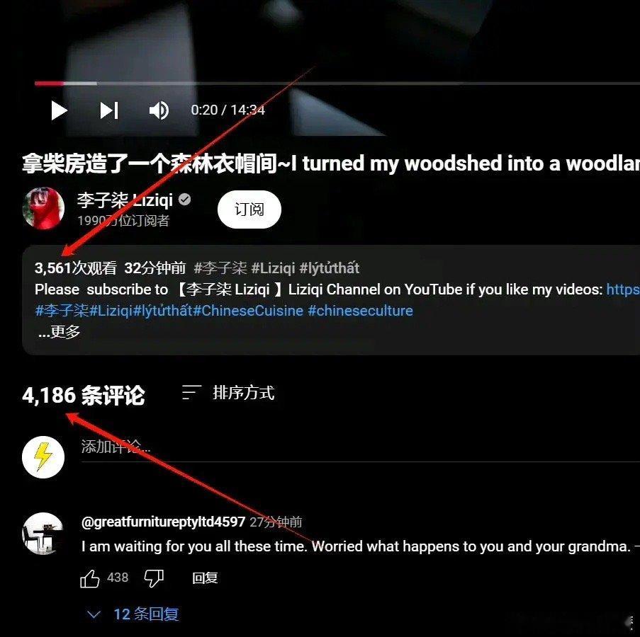 李子柒的视频已经发布油管了，但是油管评论4000多，播放3000多，这怎么得来的