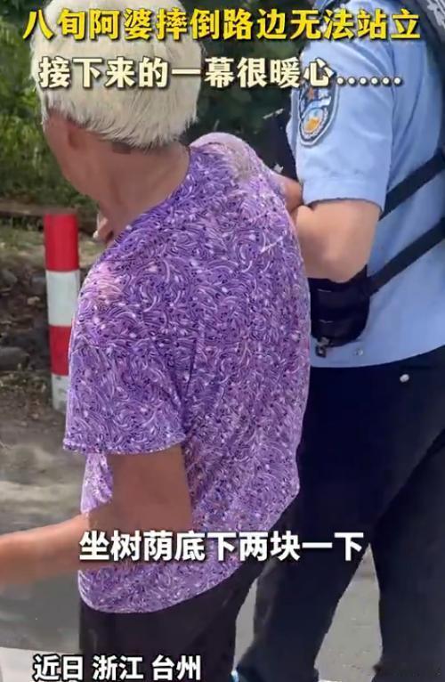 八旬阿婆不慎摔倒台州街头接力护送太暖心街头偶遇摔倒的八旬老人，天台民警第一时间上
