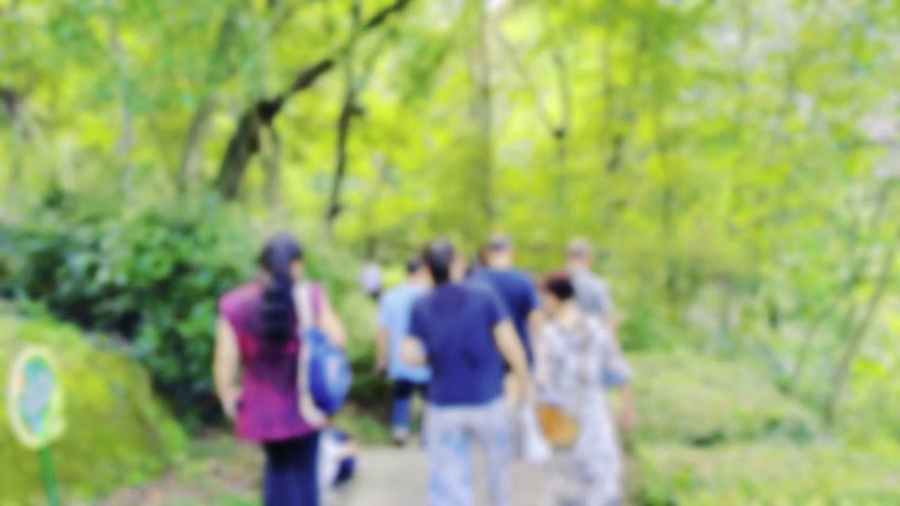 腾空双手，卸掉多余负重和牵绊，才能全身心沉浸式拥抱山野，接住迎面而来的好风景，风