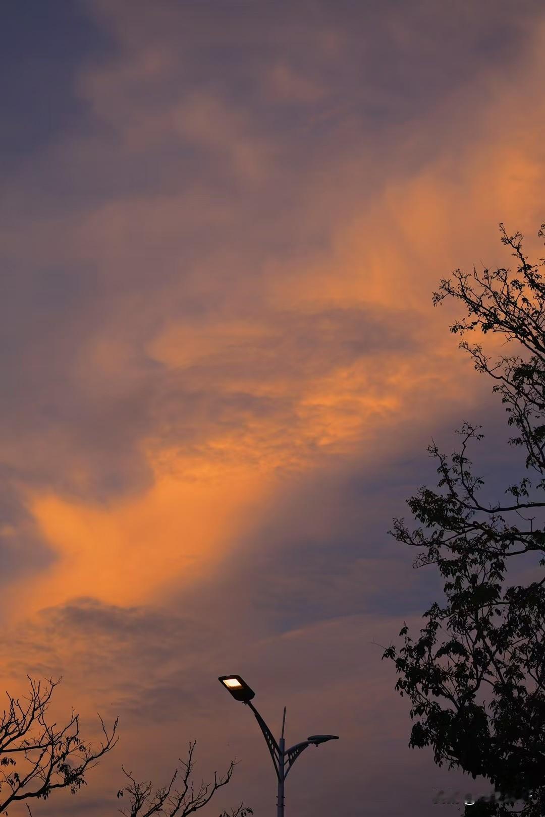 人这一辈子，真没必要跟自己较劲。
该努力的时候拼一把，该放下的时候别硬扛。
日子