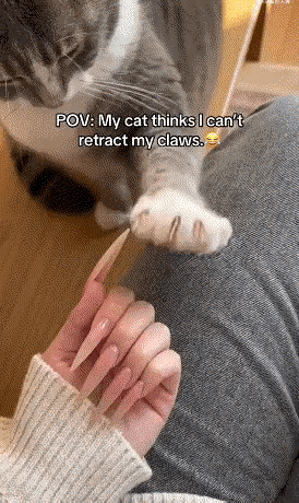 你倒是学啊[沙雕]别让它伤心