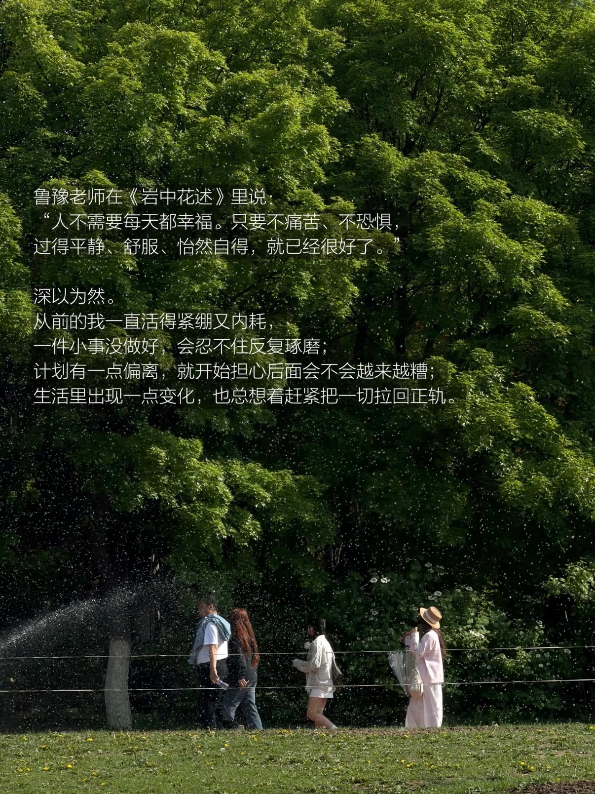 突然意识到平静是一种很强大的能量 
