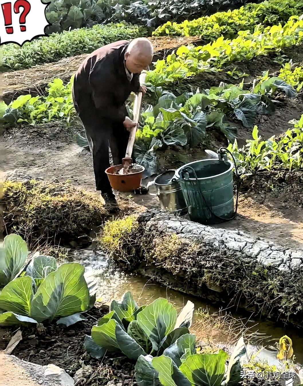 一个66岁的老人，每月总收入只有两千出头，却拥有四份完全不同的进账来源。

这四