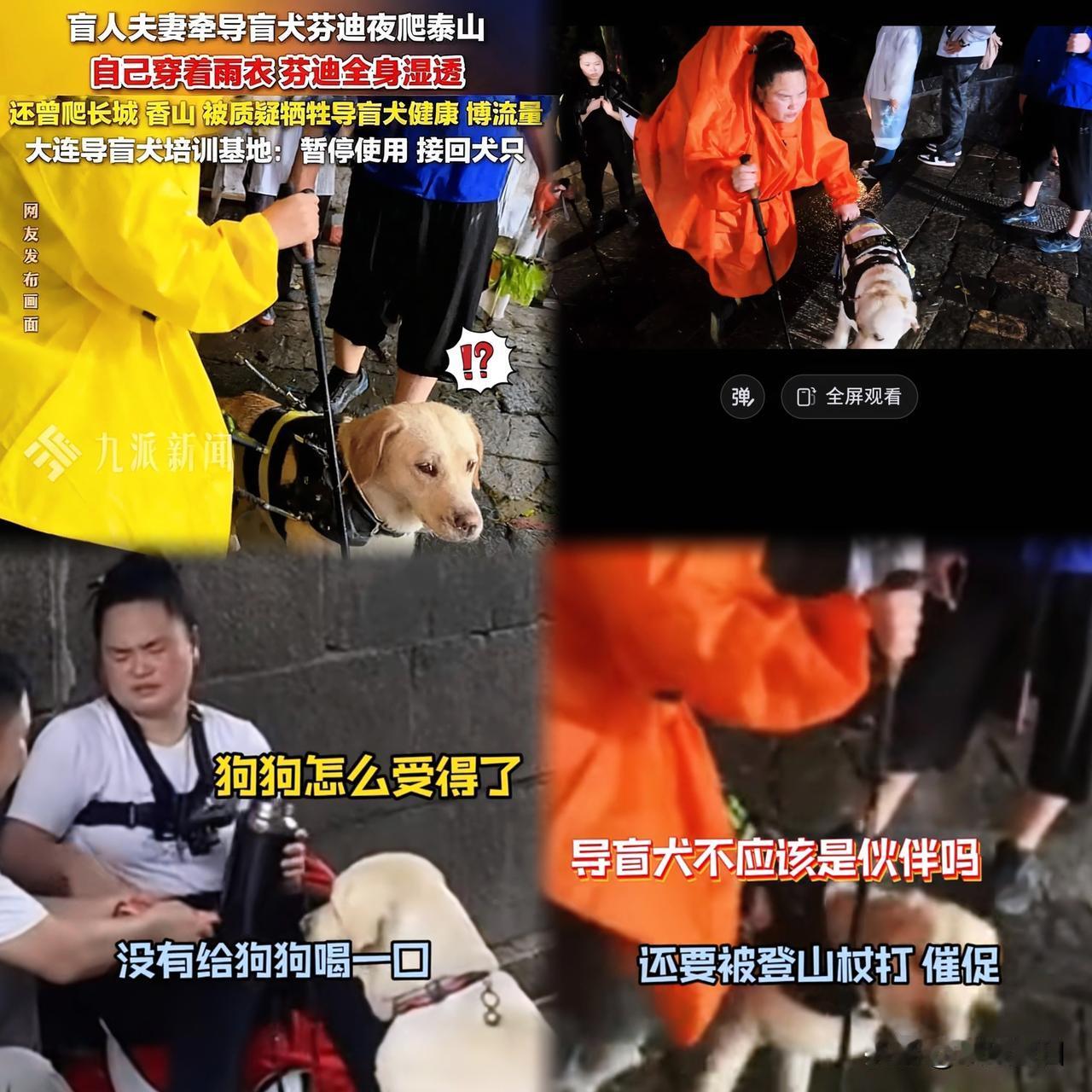 导盲犬被收回
这对盲人夫妻以后可怎么办
网友们知道后纷纷叫好

盲人夫妻带导盲犬
