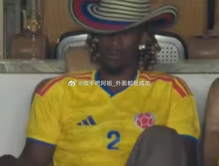 世界杯小组赛K组第三轮哥伦比亚对阵葡萄牙的比赛正在进行中。现场摄像机捕捉到勇士球