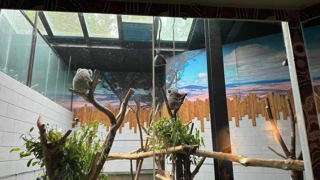 最近5年，五一假期国内出游人次
2021年，2.3亿人次，历史第一次突破2亿
2