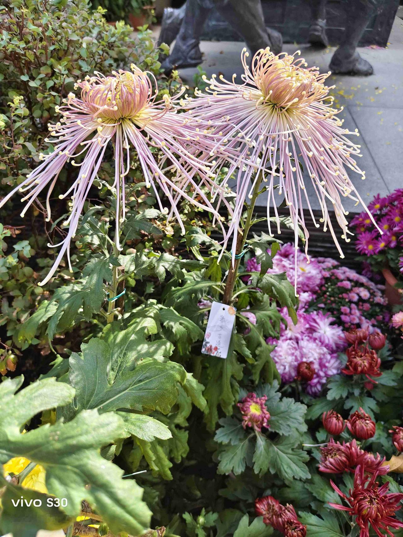 我的今日状态：😁轻松愉快
我这里的天气：☀️晴天