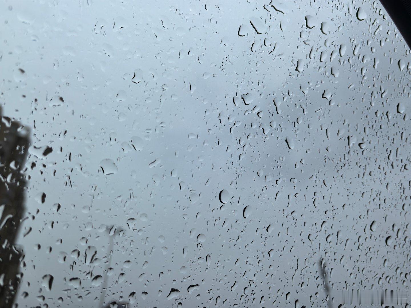 我人傻了，昨天刚花巨款洗了车