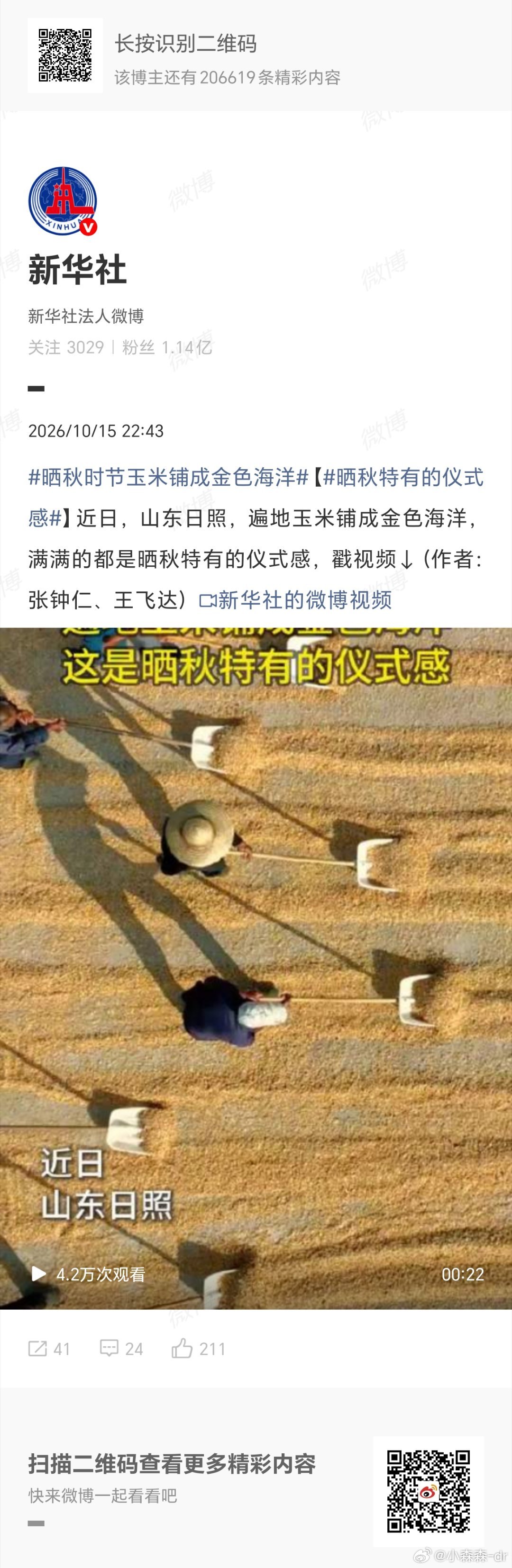 《玉米大丰收》自从新华社报道了玉米大丰收的新闻，石头哥开始对它刮目相看了。这才是