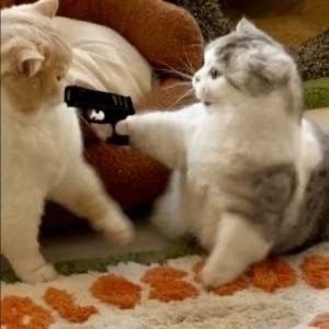 微博之夜投票wb你的投票真的好多可不可以玩点新的