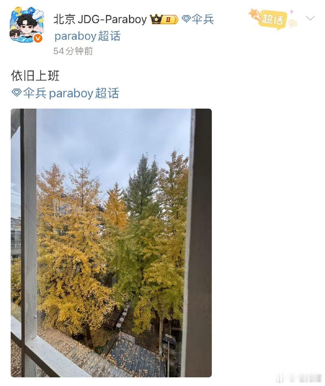 不仅在13:14准时上线，这扇窗外的秋日静谧，也正好卡中了午后最舒服的时刻。伞兵